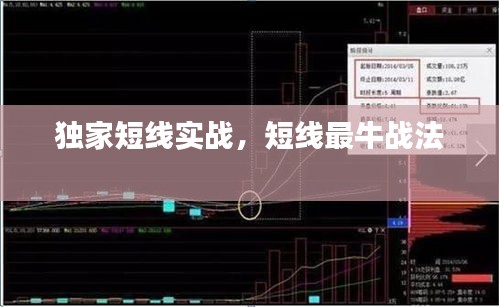 独家短线实战，短线最牛战法 
