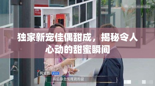 施工现场 第169页