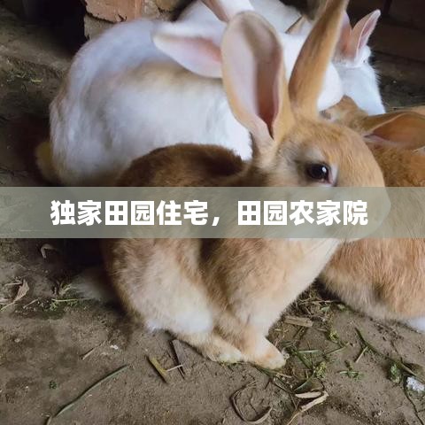独家田园住宅，田园农家院 