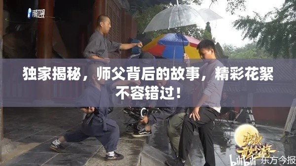 有张没智 第2页