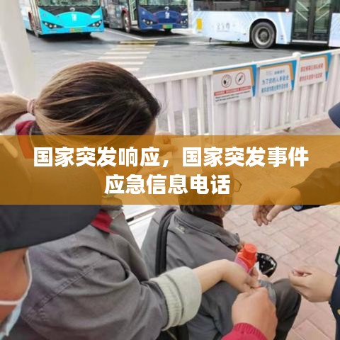重张旗鼓 第2页