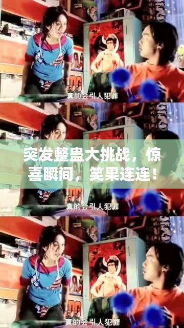 真独简贵 第2页