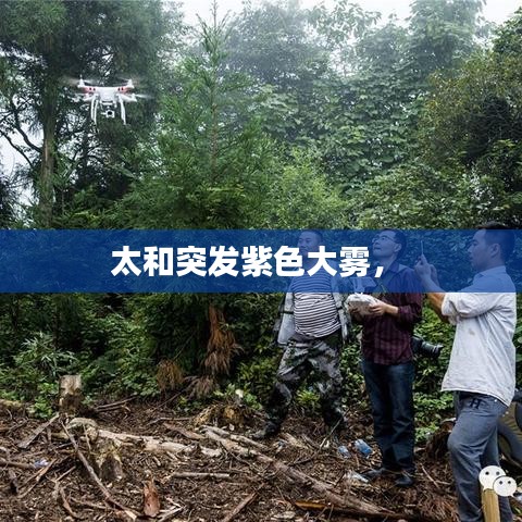 贵冠履轻头足 第2页