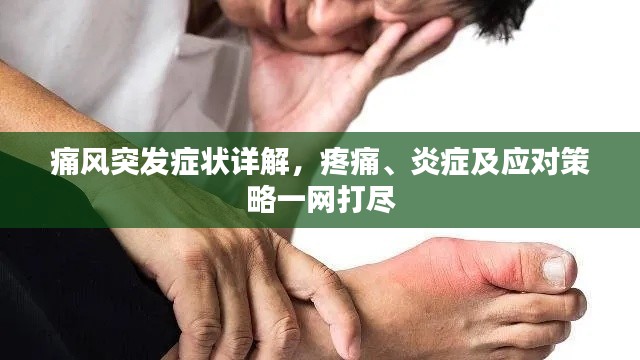 张狂妄行 第2页