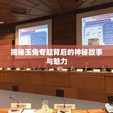 揭秘玉兔专题背后的神秘故事与魅力