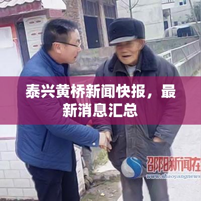 撺哄鸟乱 第2页