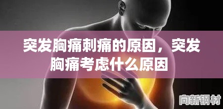 祖道供张 第2页