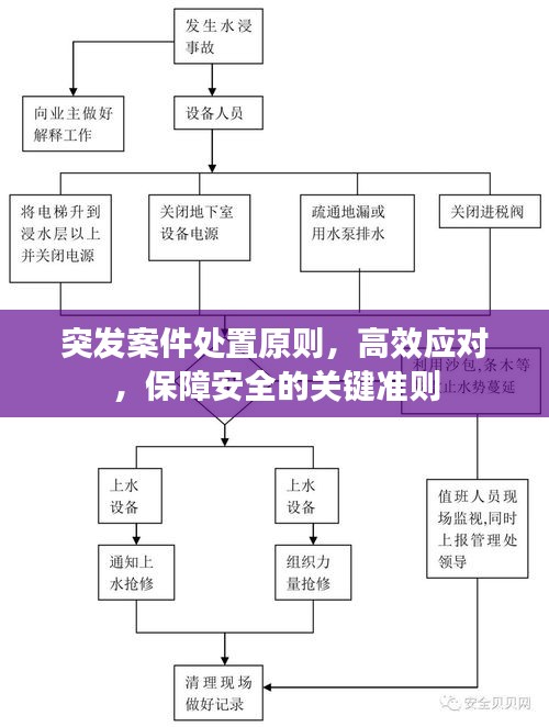 突发案件处置原则，高效应对，保障安全的关键准则