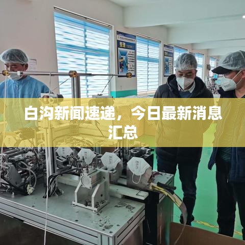 白沟新闻速递，今日最新消息汇总