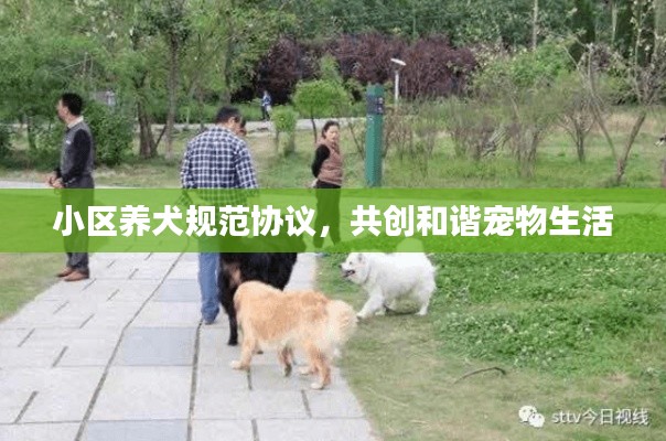 博古通今 第2页