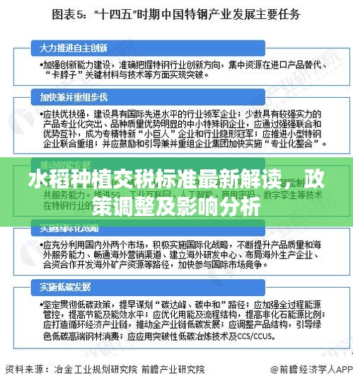 水稻种植交税标准最新解读，政策调整及影响分析