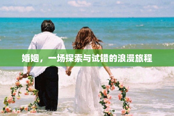 新澳中心 第114页