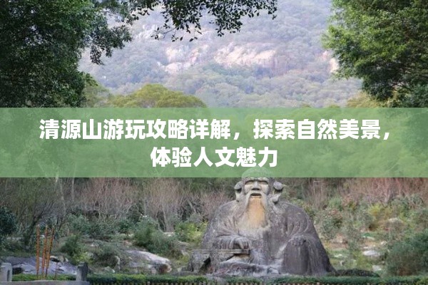 新澳中心 第111页