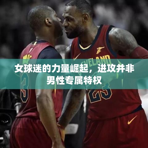 纲挈目张 第2页
