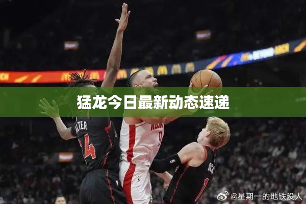 关于我们 第94页
