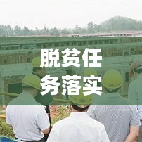 脱贫任务落实，构建无贫未来，坚实步伐迈向美好明天