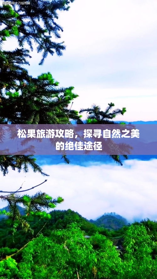 松果旅游攻略，探寻自然之美的绝佳途径