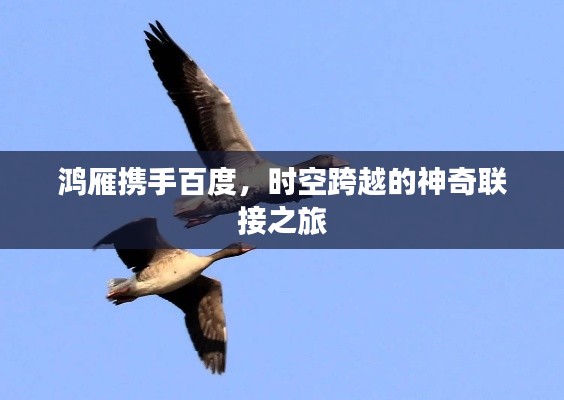 鸿雁携手百度，时空跨越的神奇联接之旅