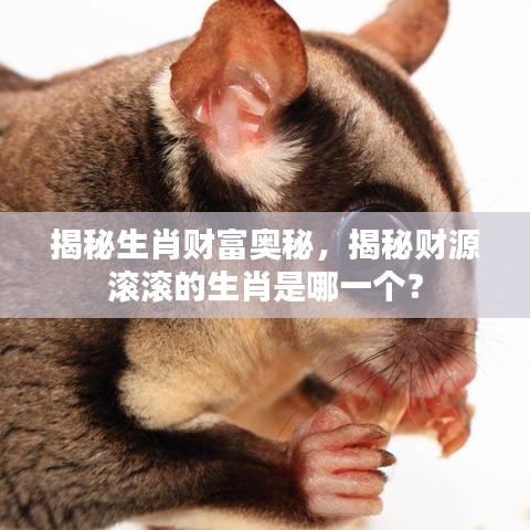 揭秘生肖财富奥秘，揭秘财源滚滚的生肖是哪一个？