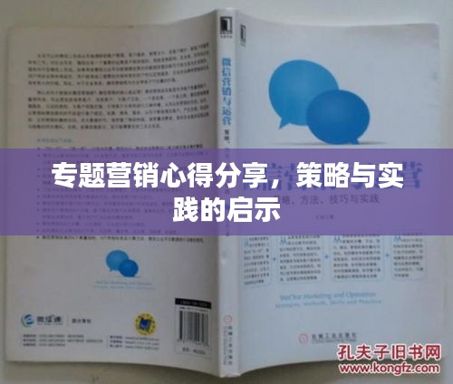 专题营销心得分享，策略与实践的启示