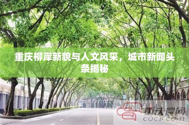 重庆柳岸新貌与人文风采，城市新闻头条揭秘