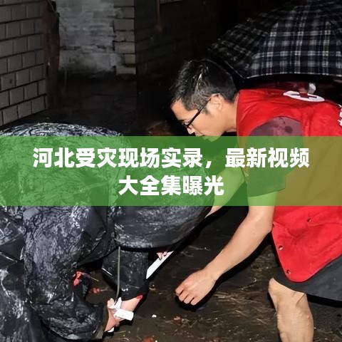河北受灾现场实录，最新视频大全集曝光