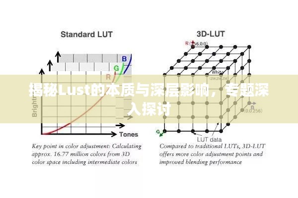 揭秘Lust的本质与深层影响，专题深入探讨
