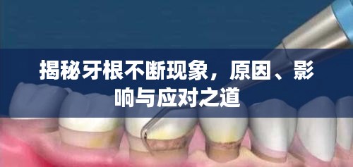 揭秘牙根不断现象，原因、影响与应对之道
