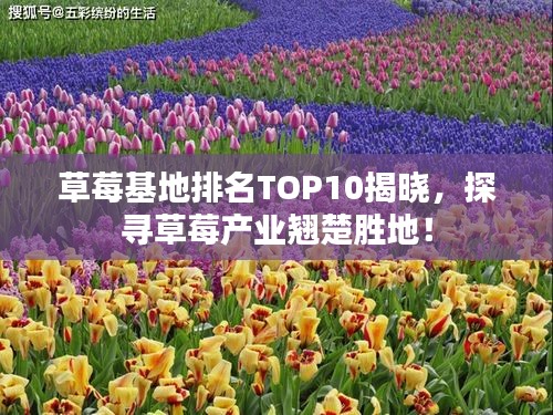 新澳中心 第70页