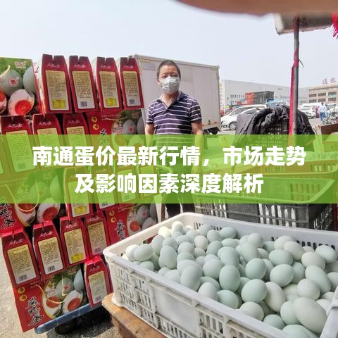 南通蛋价最新行情，市场走势及影响因素深度解析