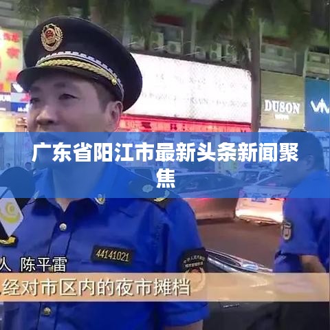广东省阳江市最新头条新闻聚焦