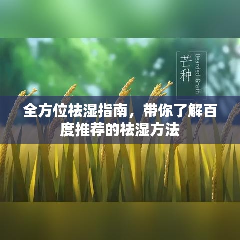 全方位祛湿指南，带你了解百度推荐的祛湿方法