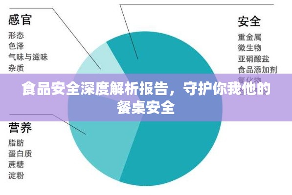 食品安全深度解析报告，守护你我他的餐桌安全