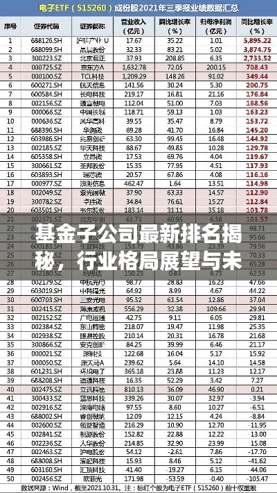 基金子公司最新排名揭秘，行业格局展望与未来趋势分析