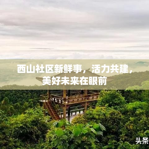 西山社区新鲜事，活力共建，美好未来在眼前