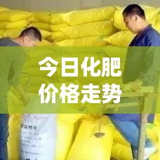 今日化肥价格走势解析，最新动态一网打尽