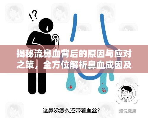 揭秘流鼻血背后的原因与应对之策，全方位解析鼻血成因及应对策略