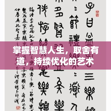 掌握智慧人生，取舍有道，持续优化的艺术