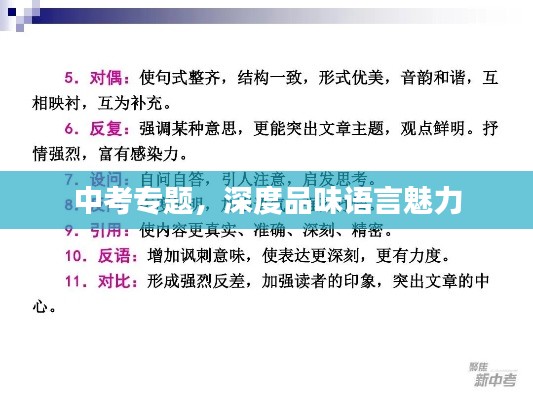 中考专题，深度品味语言魅力