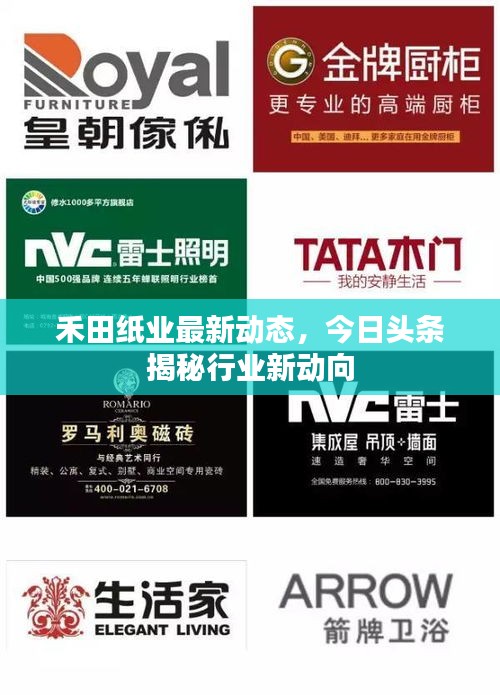 禾田纸业最新动态，今日头条揭秘行业新动向