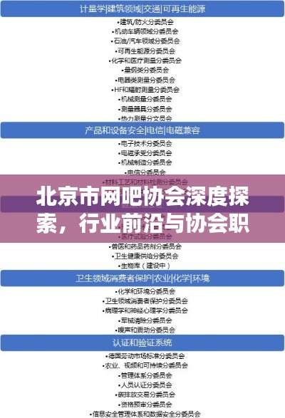北京市网吧协会深度探索，行业前沿与协会职能揭秘
