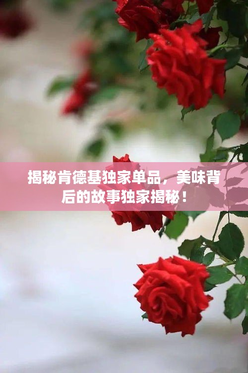 揭秘肯德基独家单品，美味背后的故事独家揭秘！
