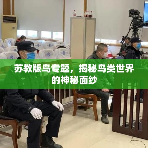 苏教版鸟专题，揭秘鸟类世界的神秘面纱