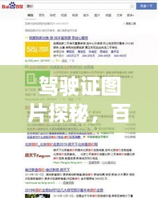 驾驶证图片探秘，百度搜索背后的精彩内容！