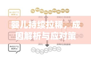 一丝不苟
