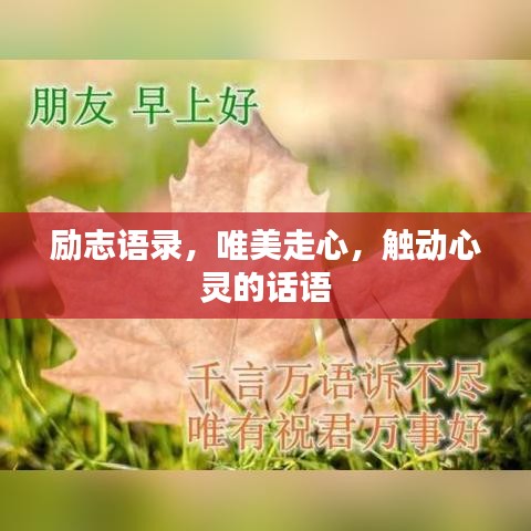 励志语录，唯美走心，触动心灵的话语