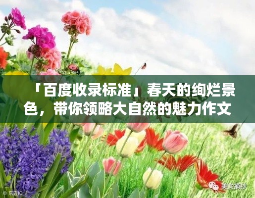 新澳中心 第49页