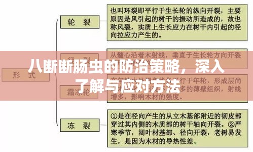 八断断肠虫的防治策略，深入了解与应对方法