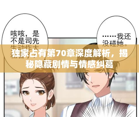 独家占有第70章深度解析，揭秘隐藏剧情与情感纠葛
