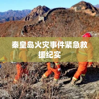 秦皇岛火灾事件紧急救援纪实